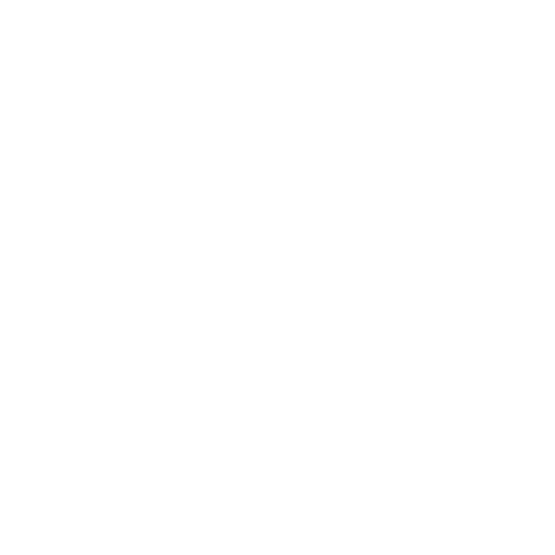 HUSTLERS PLUS